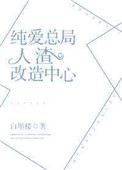 九龙至尊小说