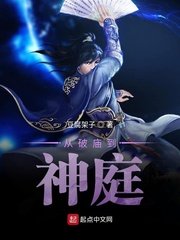 543绝密部队电视剧免费观看
