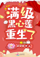 显示屏