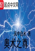 办公室的女秘书
