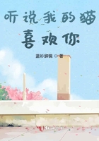xiaobi078