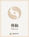 成影院视频播放器