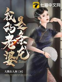 旗袍美探电视剧免费观看高清完整版