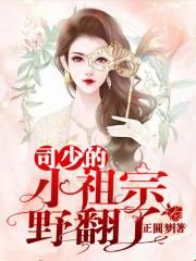 权臣之妻txt