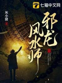 16personalities中文版