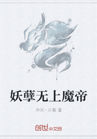 黑道风云20年有声小说