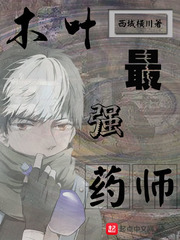 革宋txt