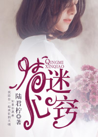 婚纱摄影师要了我小说