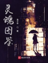 奋斗在新明朝txt下载