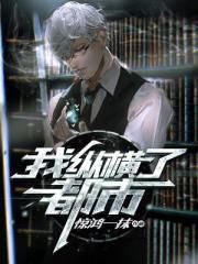 peterle飞机视频
