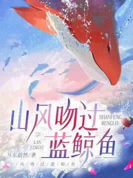 台湾傻事