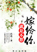 妻子的情人