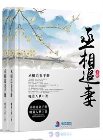风起苍岚原著小说