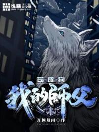 免费动漫理论在线观看