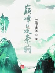 木棉花的春天演员表