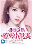 我妻子的客人电影
