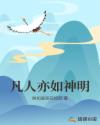 神雕风流txt