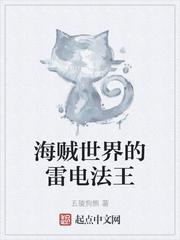 gogo全球高清专业摄像机