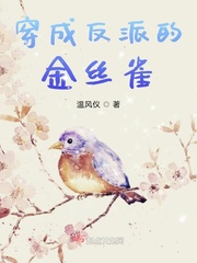 新房客