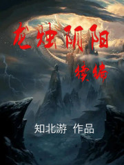 刺客魔传txt