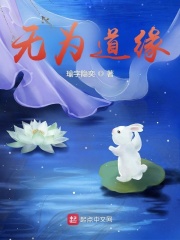 南斯拉夫电影桥全集免费观看