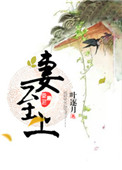 家延乱小说目录