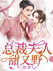 乡村玉米地的风流小说