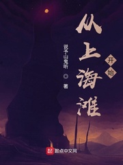 我的锦衣卫大人txt