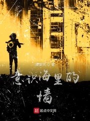 法国空姐满天星法版