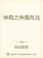 图片区视频区