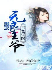 我的极品小姨