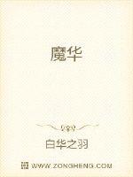 燃燃升起全文免费阅读