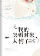 校车系列1h书