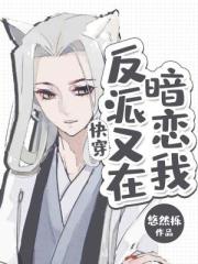 黄占肉车