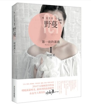 我叫赵甲第大结局