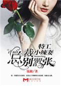 压在玻璃窗索要