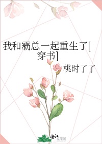 国产100页