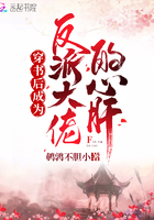 宝玉车内玩平儿第六回