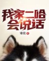 乱VODAFONEWIFI