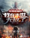口袋忍者