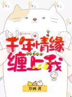 中文字幕乱视频