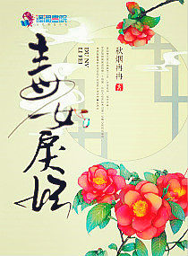 新全集网在线观看