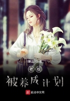 鼎桥手机