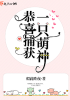无间电视剧在线观看全集免费高清
