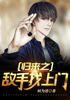 虫虫seo