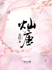 vip私密播放器破解版
