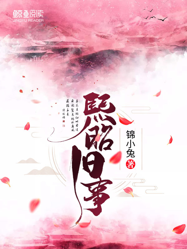 一片冰心在玉壶小说