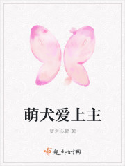 冲上云霄2结局