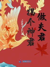 骑士幻想夜小说