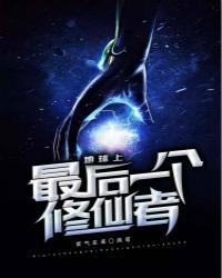 艾达王h